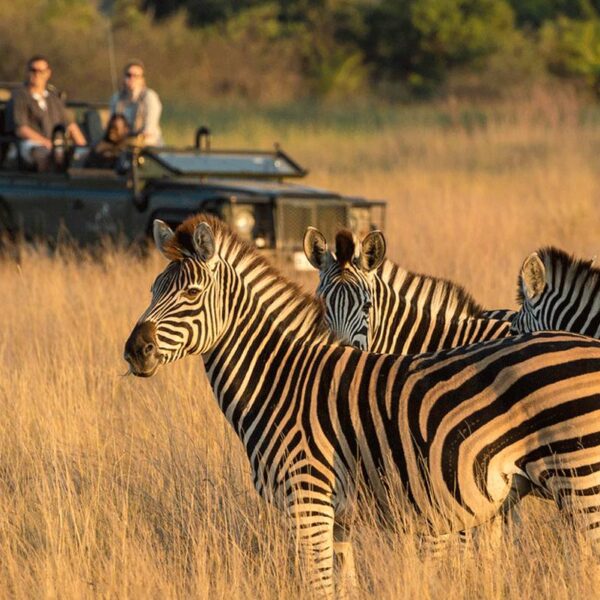 10 Days Sunrise to Sunset Tanzania Safari
