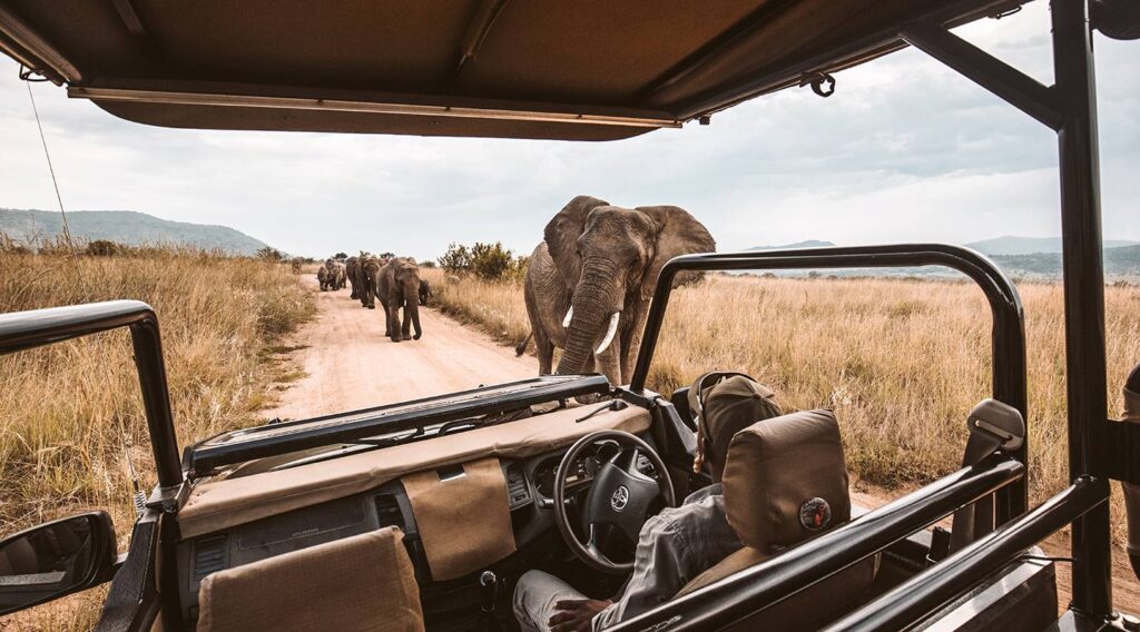 6 Days Highlight Of Magical Kenya Bush Safari.