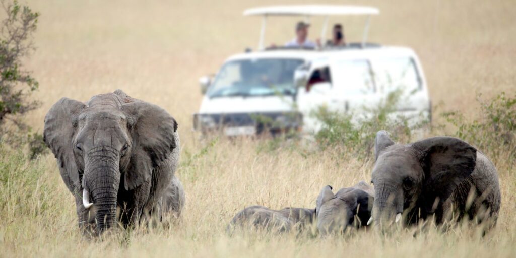 6 Days Ngorongoro and Serengeti Safari