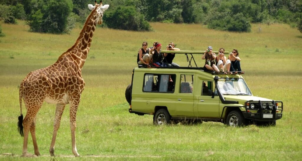 5-Day The Serengeti Trail - High End Luxury Safari